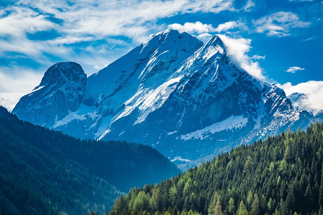 散尾葵的养殖方法,散尾葵叶子发黄怎么办?插图 散尾葵的养殖方法,散尾葵叶子发黄怎么办?插图