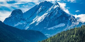 散尾葵的养殖方法，散尾葵叶子发黄怎么办？缩略图