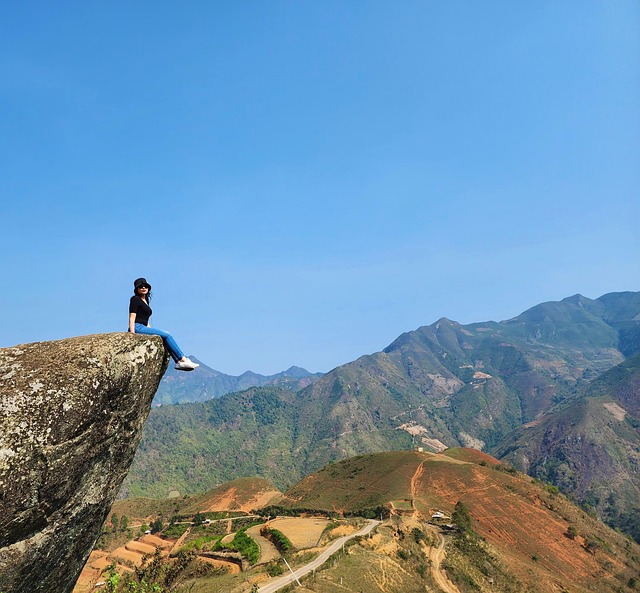 生石花的养殖方法，生石花养殖的进阶技巧与常见问题插图