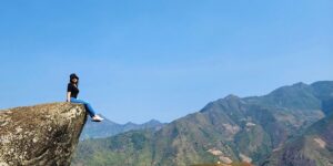 生石花的养殖方法，生石花养殖的进阶技巧与常见问题缩略图