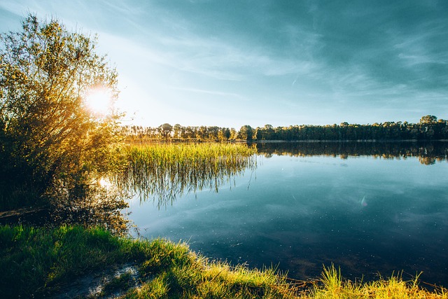 2018年8月8,送你8种花,祝你有钱随便花!,2018年8月8日,“送你8种花”是哪8种花?又蕴含着哪些美好寓意?插图 2018年8月8,送你8种花,祝你有钱随便花!,2018年8月8日,“送你8种花”是哪8种花?又蕴含着哪些美好寓意?插图