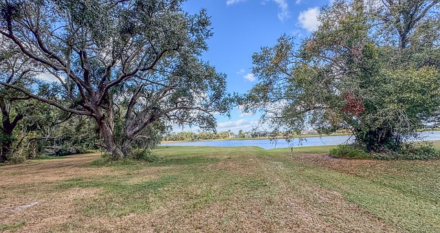 长寿花什么时候扦插好,长寿花扦插后多久能开花?如何促进开花?插图 长寿花什么时候扦插好,长寿花扦插后多久能开花?如何促进开花?插图