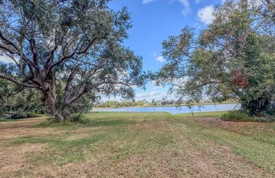 长寿花什么时候扦插好，长寿花扦插后多久能开花？如何促进开花？缩略图