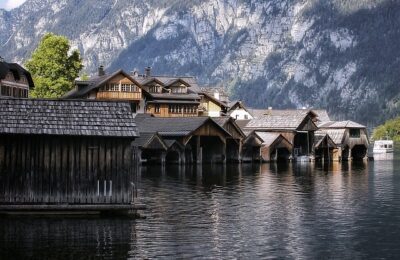 金钱树多少钱一盆，金钱树怎么养才能旺盛？缩略图