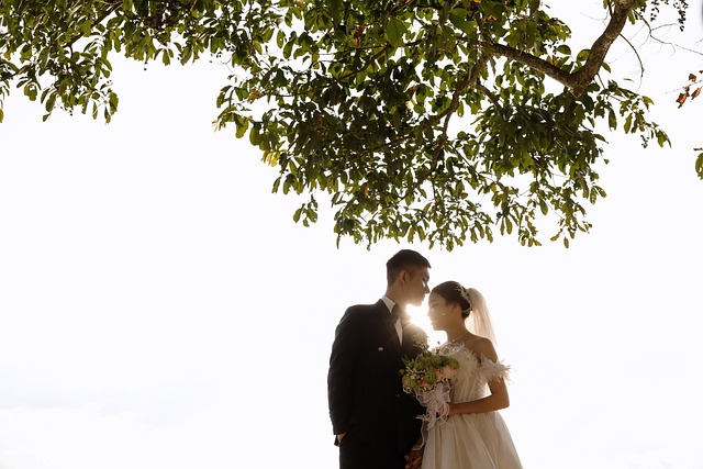 室内养茉莉好吗,室内养茉莉,如何才能让它花开满枝?插图 室内养茉莉好吗,室内养茉莉,如何才能让它花开满枝?插图