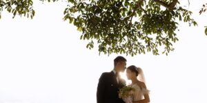 室内养茉莉好吗，室内养茉莉，如何才能让它花开满枝？缩略图