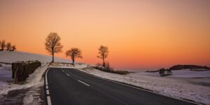 多肉扦插的顺序，多肉扦插总是失败怎么办？缩略图