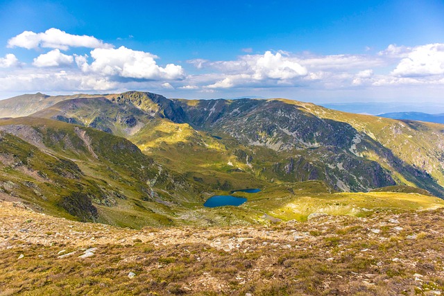 怎么辨别关山樱,关山樱的种植与养护以及未来品种发展插图 怎么辨别关山樱,关山樱的种植与养护以及未来品种发展插图