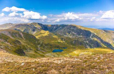怎么辨别关山樱，关山樱的种植与养护以及未来品种发展缩略图