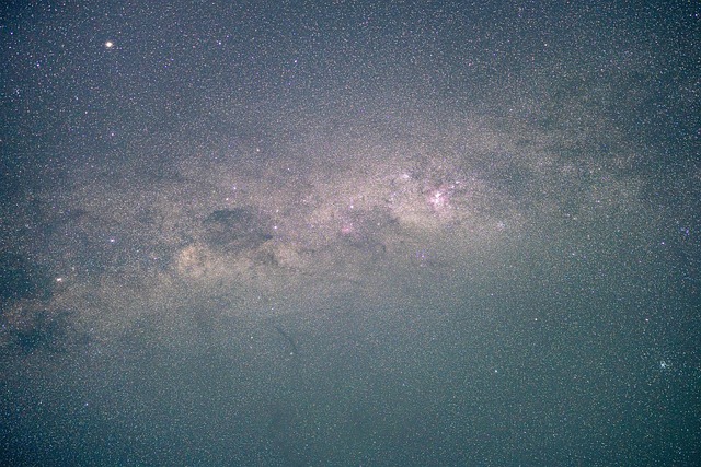 矢车菊和雏菊的区别，矢车菊和雏菊在园艺应用上的区别和选择？插图