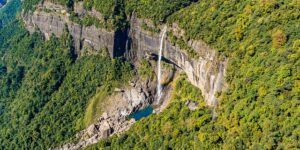 美女樱和五色梅的区别，五色梅为什么叫五色梅？它的变色机制是什么？缩略图