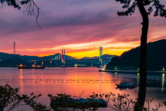 瑞香和夹竹桃的区别,瑞香和夹竹桃在园林应用中有哪些需要注意的地方?插图 瑞香和夹竹桃的区别,瑞香和夹竹桃在园林应用中有哪些需要注意的地方?插图