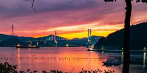 瑞香和夹竹桃的区别，瑞香和夹竹桃在园林应用中有哪些需要注意的地方？缩略图