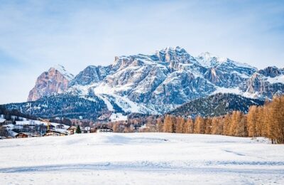 茶花和夹竹桃的区别，夹竹桃的毒性与应用？缩略图