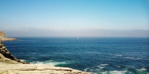 山桃和碧桃的区别，山桃和碧桃在园林应用中如何选择？缩略图