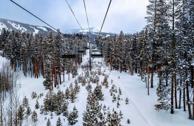 野生灵芝和养殖灵芝的区别，野生灵芝的功效是否真的优于养殖灵芝？缩略图