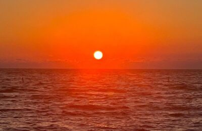 龙舌兰和芦荟的区别，龙舌兰和芦荟的误区及如何正确辨别？缩略图