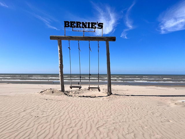 山茶和滇山茶的区别，滇山茶的栽培和未来发展趋势？插图