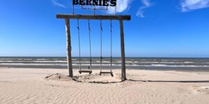 山茶和滇山茶的区别，滇山茶的栽培和未来发展趋势？缩略图