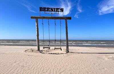 山茶和滇山茶的区别，滇山茶的栽培和未来发展趋势？缩略图