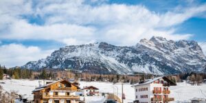 泥胡菜与荠菜区别，泥胡菜与荠菜在实际应用中如何区分，以及误食泥胡菜会有哪些后果？缩略图