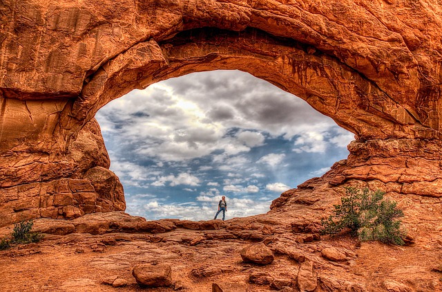 绿梅有哪些特征,绿梅的文化内涵和未来发展趋势是什么?插图 绿梅有哪些特征,绿梅的文化内涵和未来发展趋势是什么?插图