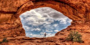 绿梅有哪些特征，绿梅的文化内涵和未来发展趋势是什么？缩略图