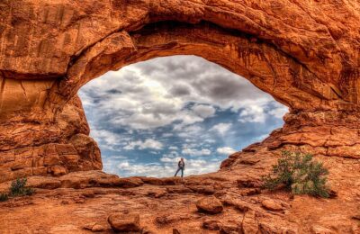 绿梅有哪些特征，绿梅的文化内涵和未来发展趋势是什么？缩略图