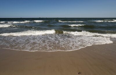鲸鱼花和口红花的区别，鲸鱼花和口红花在园艺应用上有什么不同？缩略图