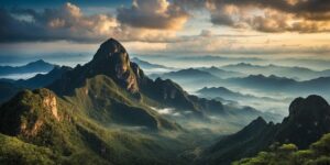 扁竹兰和鸢尾的区别，扁竹兰和鸢尾在园艺应用上有什么不同？缩略图