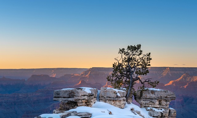 姜花和姜的区别,姜花和姜在药用价值上有什么区别?插图 姜花和姜的区别,姜花和姜在药用价值上有什么区别?插图