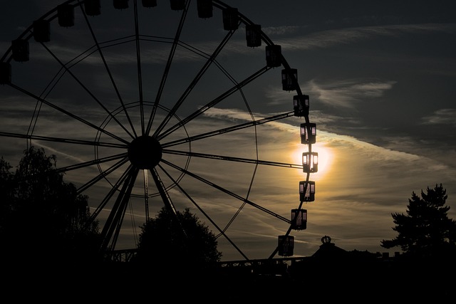 玖瑰花与月季花的区别，玖瑰花与月季花的杂交品种有哪些？它们有什么特性？插图