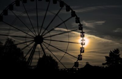 玖瑰花与月季花的区别，玖瑰花与月季花的杂交品种有哪些？它们有什么特性？缩略图