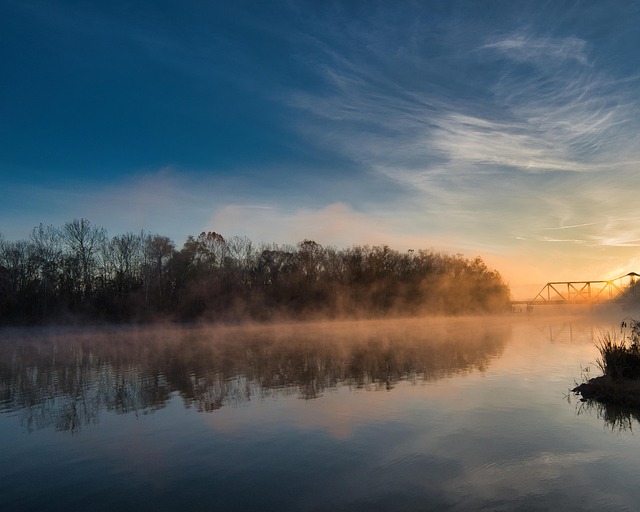 玉珠莲和千佛手的区别，玉珠莲和千佛手在园艺上的应用和文化意义有什么不同？插图