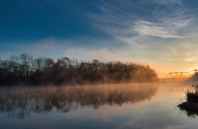 玉珠莲和千佛手的区别，玉珠莲和千佛手在园艺上的应用和文化意义有什么不同？缩略图
