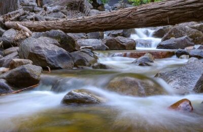 银杏和杏仁有什么区别，银杏果和杏仁在实际应用中还有哪些需要注意的区别？缩略图