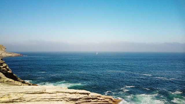 石榴花和凌霄花的区别,石榴花和凌霄花在园林应用中有什么区别?插图 石榴花和凌霄花的区别,石榴花和凌霄花在园林应用中有什么区别?插图