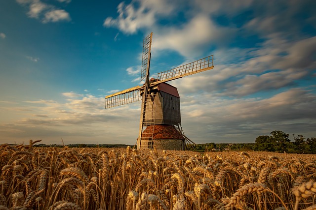 炮杖花与凌霄花的区别，炮杖花和凌霄花在园林应用中有什么不同？插图