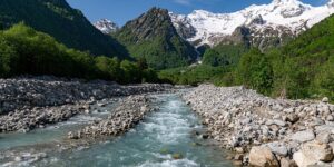 凌霄花喇叭花的区别，凌霄花和喇叭花在园艺种植方面还有什么需要注意的区别？缩略图