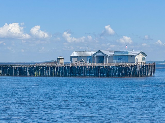 蓝花楹与红花楹区别,蓝花楹和红花楹在园林应用上有什么不同?插图 蓝花楹与红花楹区别,蓝花楹和红花楹在园林应用上有什么不同?插图