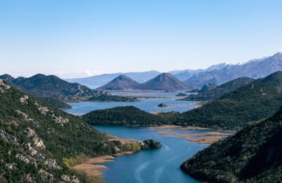 合欢花和蓝花楹的区别，合欢花和蓝花楹在园林应用中有什么不同？缩略图