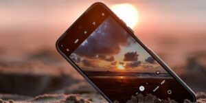 唐菖蒲和菖蒲区别，唐菖蒲和菖蒲在文化中有什么不同意义？缩略图