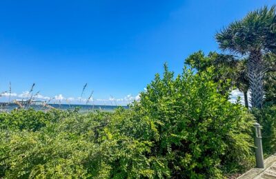 这花没太阳也能一年四季开，摘个叶就能养出一大片！，这花真的这么好养吗？养护需要注意什么？缩略图