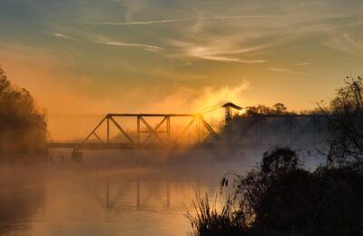 鸡蛋果和百香果的区别，百香果的更多用途和未来发展趋势缩略图