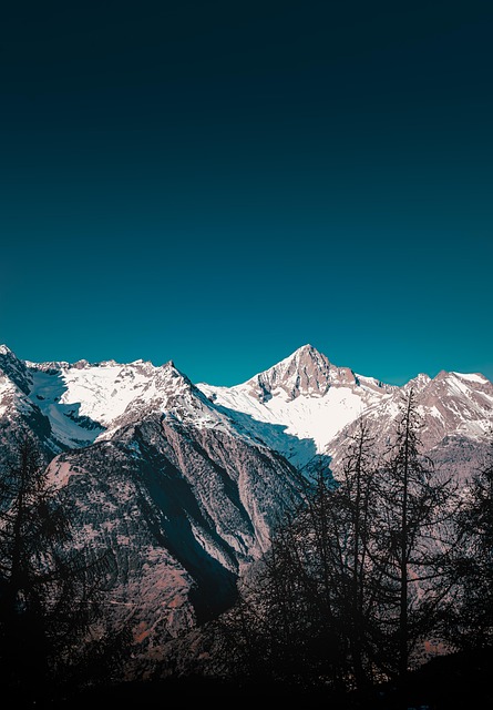 怎么辨别樱桃，怎么挑选到适合自己的樱桃品种？插图