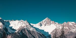 怎么辨别樱桃，怎么挑选到适合自己的樱桃品种？缩略图