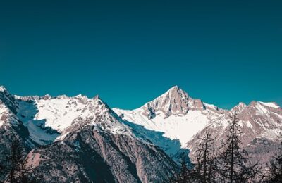 怎么辨别樱桃，怎么挑选到适合自己的樱桃品种？缩略图