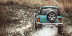 桃美人和桃蛋的区别，桃美人和桃蛋在养护上有什么区别？缩略图