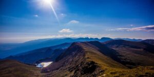 八棱海棠和西府海棠的区别，八棱海棠和西府海棠的文化意义及未来发展趋势缩略图