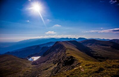 八棱海棠和西府海棠的区别，八棱海棠和西府海棠的文化意义及未来发展趋势缩略图